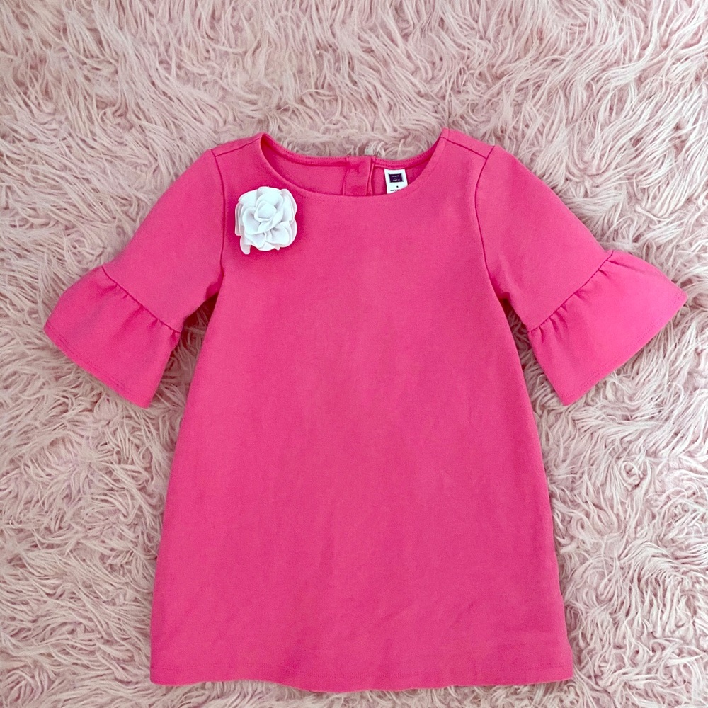 Gorgeous Janie and Jack Shift Dress